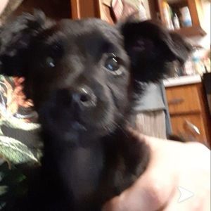 Meet your Posher, Corey